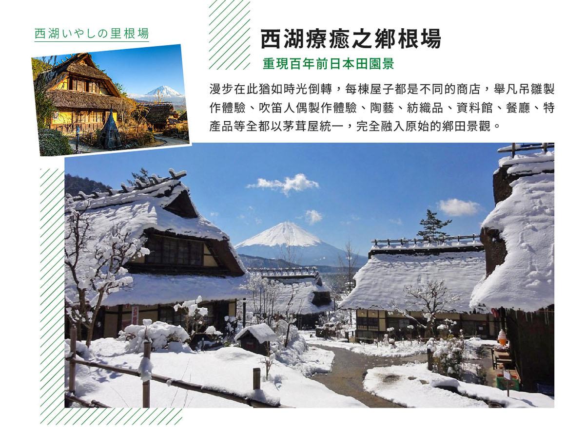 西湖療癒之鄉根場